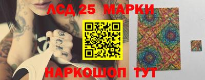 spice Кунгур