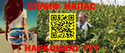 spice Кунгур