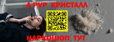 spice Кунгур