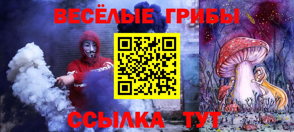 Псилоцибиновые грибы MAGIC MUSHROOMS  Вход с VPN  Сосновый Бор 